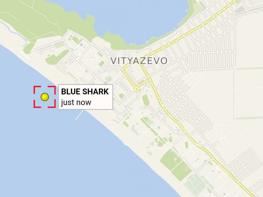 Жертва «шторма века»: в России может появиться ещё одна необычная достопримечательность