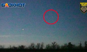 Светосильная оптика «Царских волков» помогла уничтожить вражеский дрон в кромешной тьме