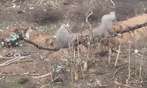 Украинский заградотряд расстрелял группу отступающих боевиков ВСУ