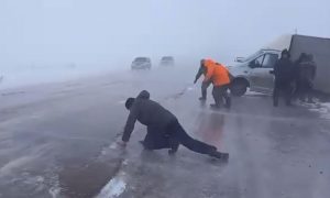 Ураганный ветер сдувает водителей, застрявших на закрытой трассе в Омской области