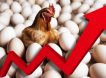 Генпрокуратура взялась за яйца: в России проверят производителей и продавцов яиц