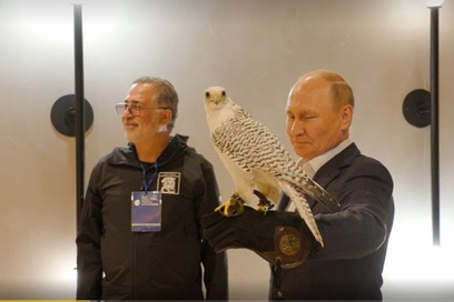 Директора знаменитого центра по сохранению соколов “Камчатка” подозревают в браконьерстве 