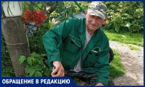 Три месяца ожидания вместо пяти дней: комитет по здравоохранению Псковской области не торопится помогать паллиативным пациентам