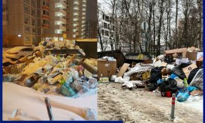 Предновогодний мусорный коллапс начался в Москве и Подмосковье