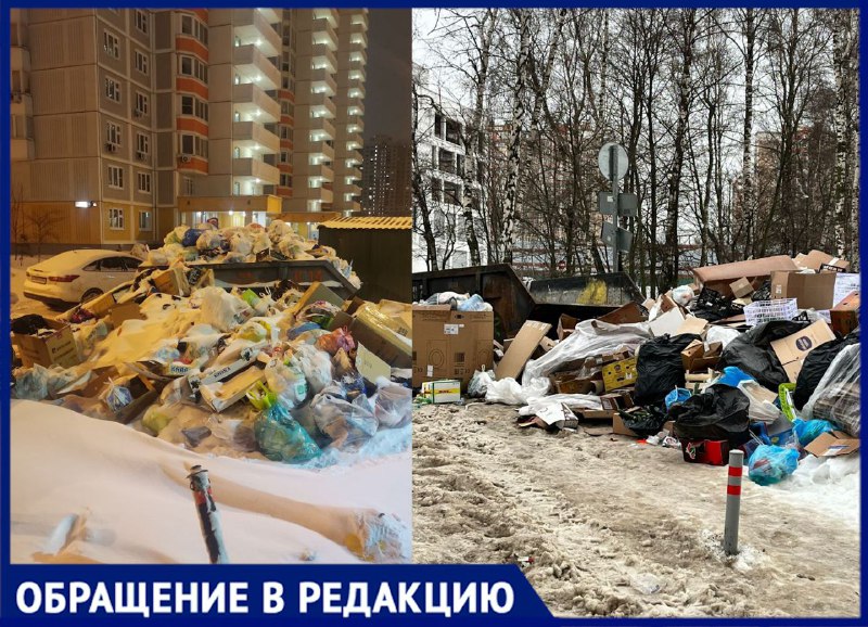 Предновогодний мусорный коллапс начался в Москве и Подмосковье 