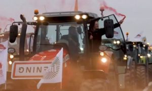 Осада Парижа и штурм Брюсселя: протесты фермеров распространяются по всей Европе