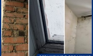«Холод, плесень и крысы»: сироты из Курской области пожаловались на квартиры, которые им выдали чиновники