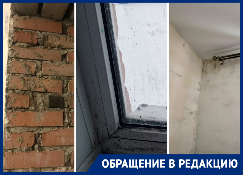 «Холод, плесень и крысы»: сироты из Курской области пожаловались на квартиры, которые им выдали чиновники 