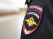 На Урале полицейские повязали пнувшего с разбега одноклассницу школьника