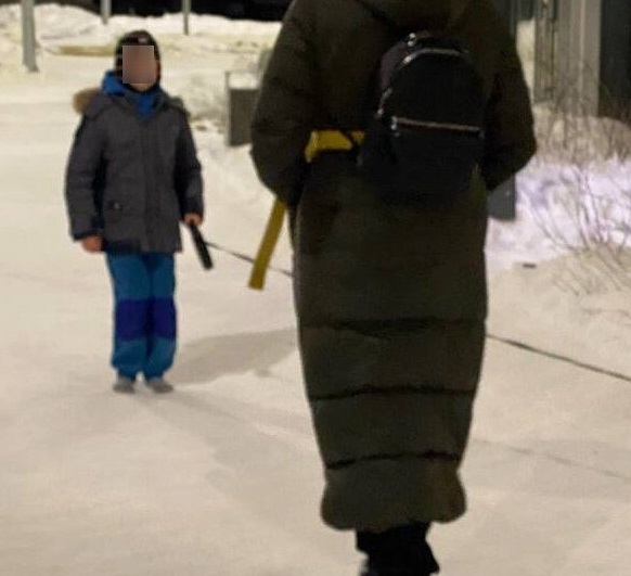 В Екатеринбурге мать заставила сына в одних носках выгуливать собаку в мороз 