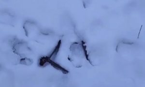 Неизвестные установили «капкан» на пешеходной дорожке в Волгограде