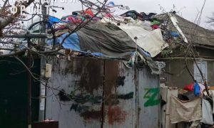 «Плюшкин» из Ставропольского края завалил дом 20 тоннами мусора со свалки