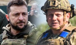 CNN: Зеленский уволит Залужного на этой неделе