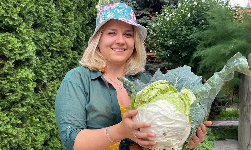 «Трамп», «Барака», «Авак»: капустное трио для вашего витаминного огорода 