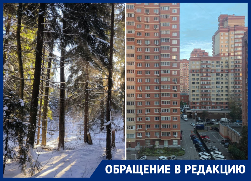 «Как в газовой камере»: в Балашихе потребовали ввести мораторий на застройку после обещаний пересмотреть проект дублера Щелковского шоссе 