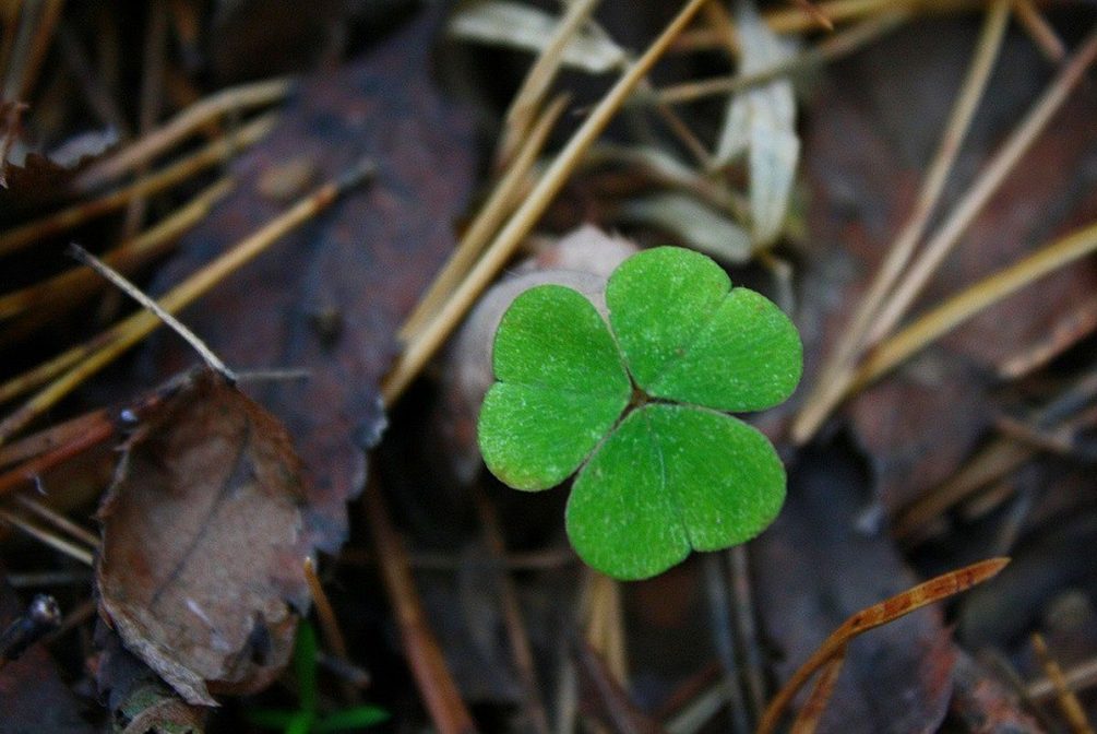 Без ранней оттепели: стало известно, какой будет погода в начале марта