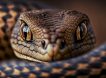 Учёные создали универсальное противоядие от яда 394 змей