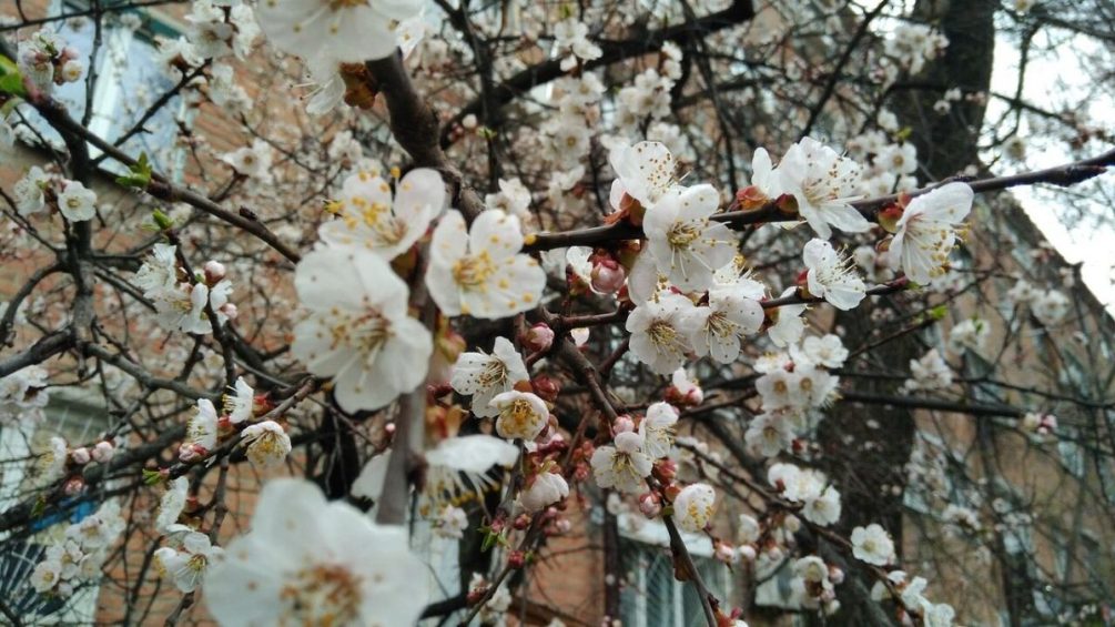 Морозы до минус 20: синоптики предупредили россиян о резком похолодании