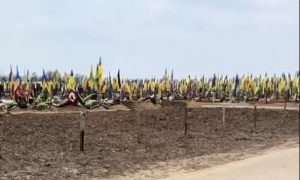 «Тысячи свежих могил»: харьковчанка спустя год сняла новое видео с кладбища ВСУ