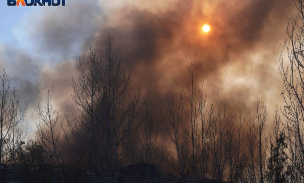 Дети остались дома одни: две маленькие девочки погибли в страшном пожаре под Волгоградом 