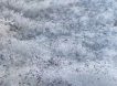 Жители Тульской области пожаловались на чёрный снег из-за выбросов