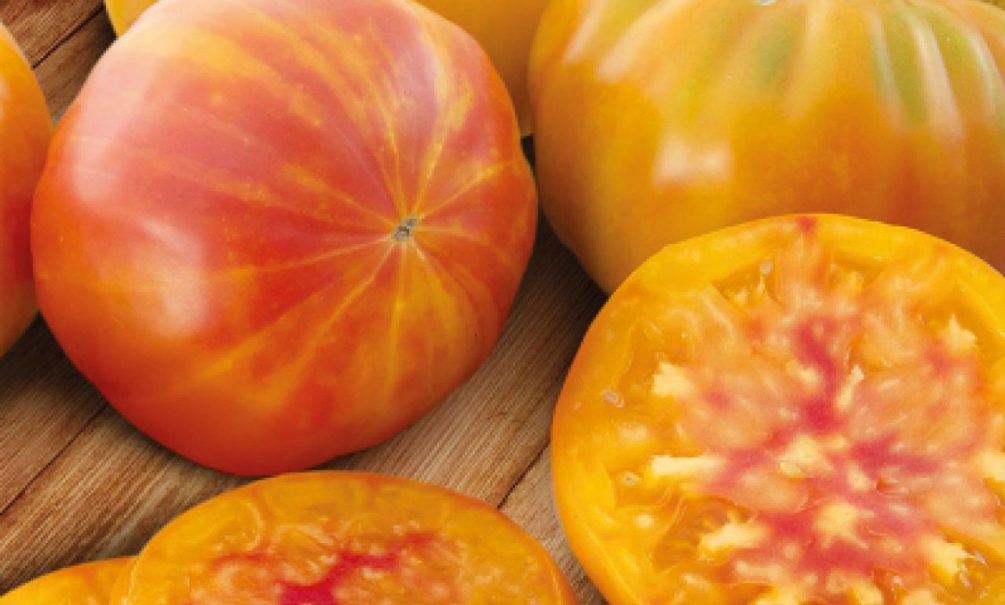 Томат Еллоуcтоун F1 – суперурожайный «мясной» помидор-трудяга Томат Еллоуcтоун F1 – суперурожайный «мясной» помидор-трудяга