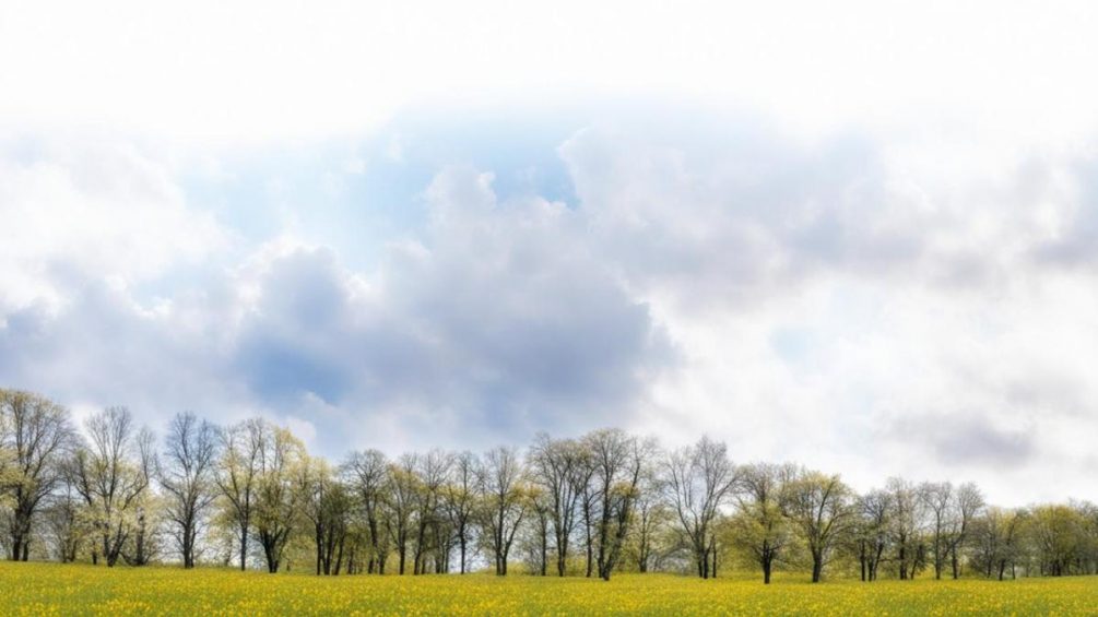 Погода в апреле удивит: метеорологи рассказали, какая температура ждет россиян