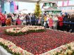 В Сочи женщинам в честь 8 Марта преподнесли самый большой торт в России
