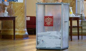 «Это не только право»: депутат Госдумы призвал лишать голоса за неучастие в выборах