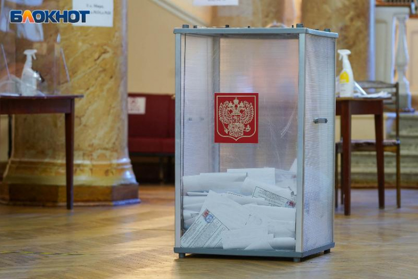 «Это не только право»: депутат Госдумы призвал лишать голоса за неучастие в выборах 