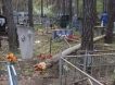 Житель Воронежа вывел на чистую воду администрацию местного кладбища