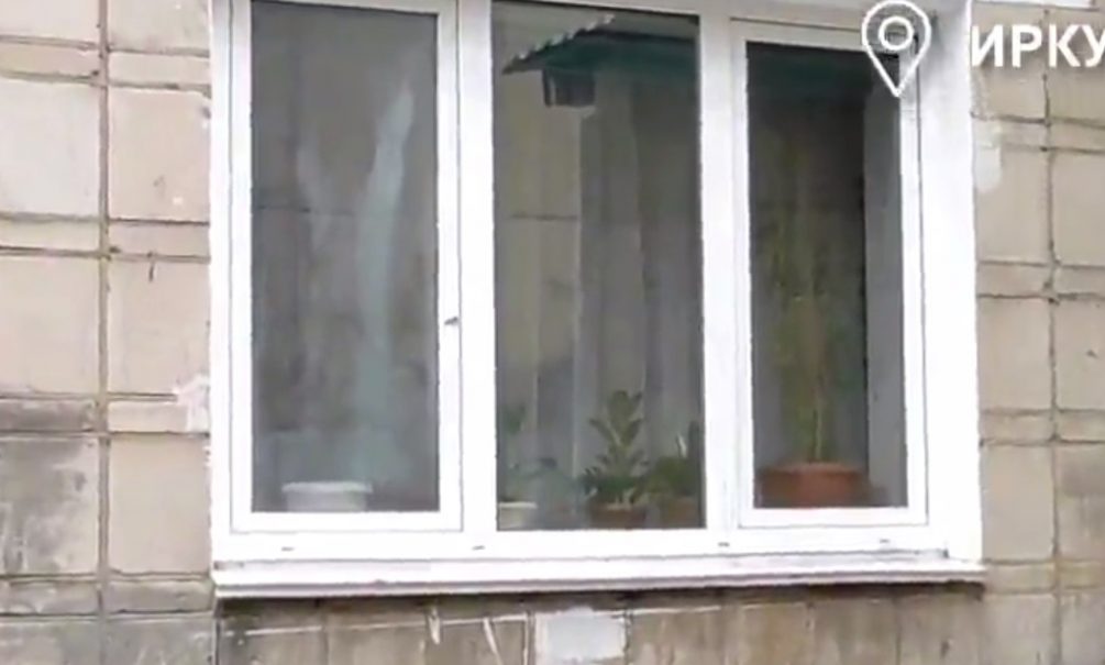 Многодетной матери в Иркутской области дали квартиру с плесенью и грибком 