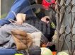 Не выходил из дома 10 лет: в Москве спасатели несколько часов доставали из квартиры 400-килограммового мужчину