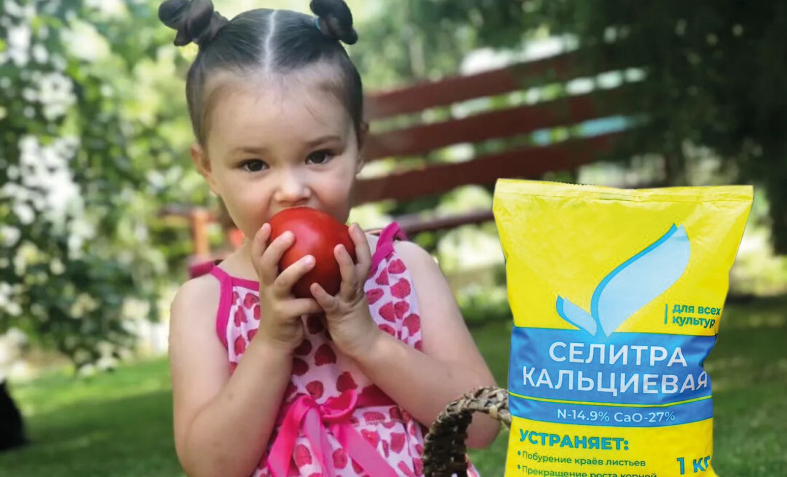 Без кальциевой селитры хороший урожай не соберешь Без кальциевой селитры хороший урожай не соберешь