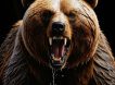 Медведи-каннибалы проснулись в российском регионе