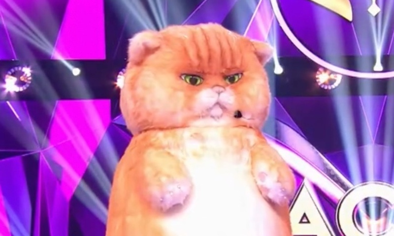 Певица, скрывавшаяся в костюме Кота, едва не потеряла сознание в финале шоу «Маска» Певица, скрывавшаяся в костюме Кота, едва не потеряла сознание в финале шоу «Маска»