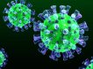 В Россию проник новый вариант коронавируса FLiRT