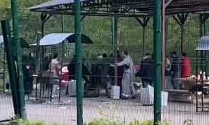 Бой на шампурах: в московском парке отдыхающие подрались за беседку с мангалом
