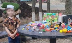 В Башкортостане девятилетний мальчик продаёт свои игрушки, чтобы помочь бездомным животным