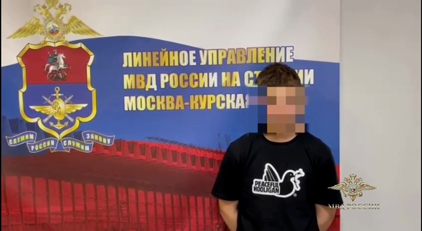 В Подмосковье задержан граффитчик, угрожавший пистолетом охраннику поезда, пока его друзья разукрашивали вагоны 