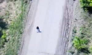 Бесстрашная женщина под разрывы снарядов пересекла линию фронта, чтобы попасть в Россию