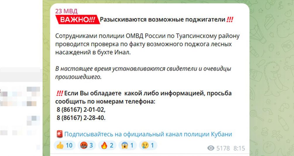 Черноморский ад: туристы с фейерверком чуть не спалили лес в бухте Инал