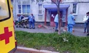 «Обнулились сами»: спор нелегалов в Петербурге завершился поножовщиной, один мигрант убит