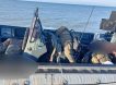 «Утопили десант в Чёрном море»: на Тендровской косе уничтожен элитный спецназ Буданова