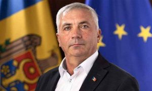 Осы-убийцы закусали до смерти молдавского депутата