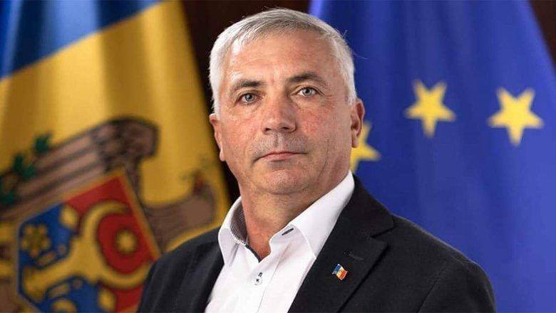 Осы-убийцы закусали до смерти молдавского депутата 