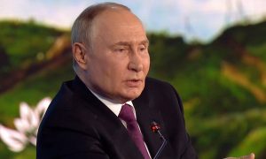 Ничего не сообщали, но… Путин высказался о разрешении Запада на удары по России