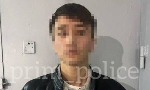 Мигрант напал на женщину во Владивостоке и пытался разбить стекло ее авто