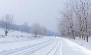 Зима откладывается до Нового года: синоптики прогнозируют аномальное тепло