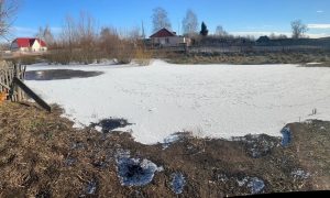 Маленькая девочка утонула в луже рядом с домом на Алтае